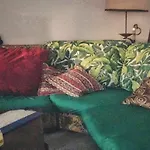 Shared With Kitten Apartman