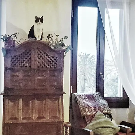 Апартаменты Shared With Kitten Ницца