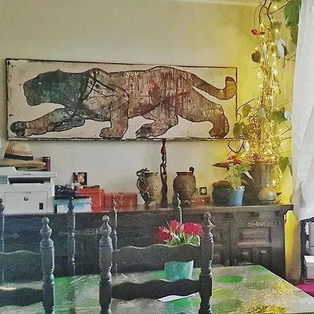 Shared With Kitten Apartman Nizza