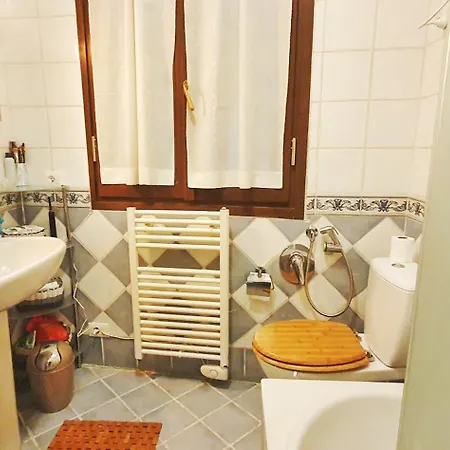 Shared With Kitten Ницца