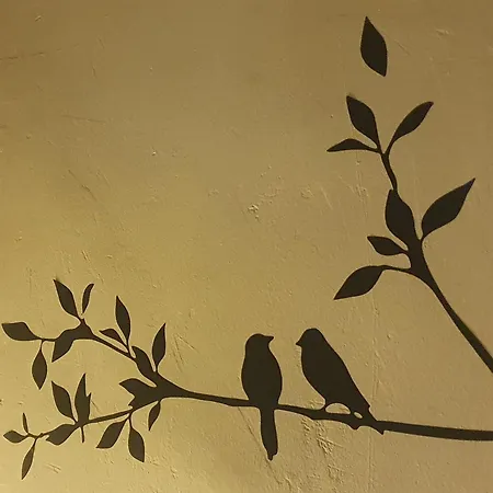 Shared With Kitten Апартаменты *