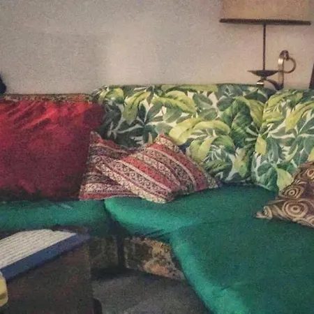 Shared With Kitten Apartman