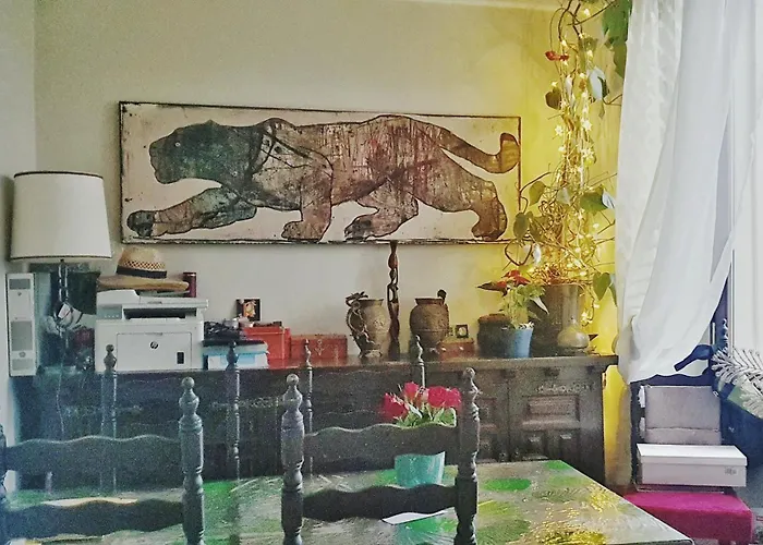 Shared With Kitten דירה ניס