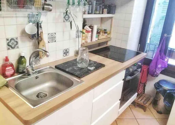 Shared With Kitten Ницца