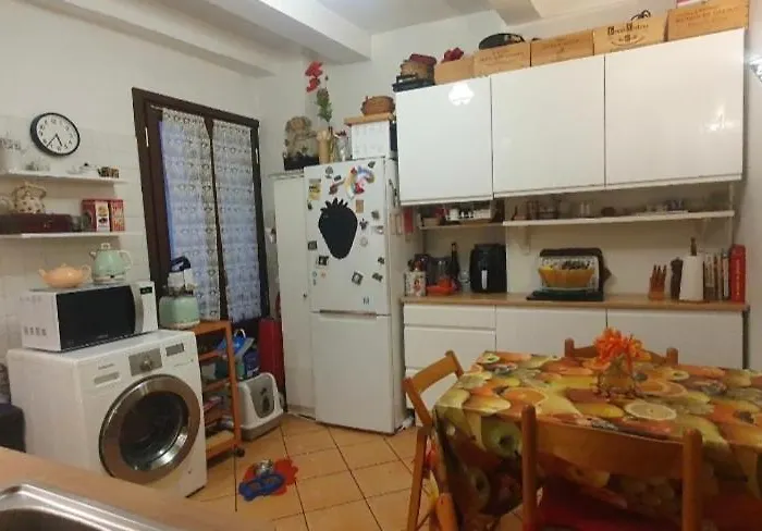 דירה Shared With Kitten