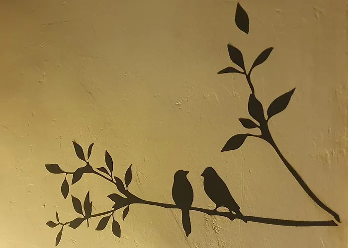 Shared With Kitten דירה *