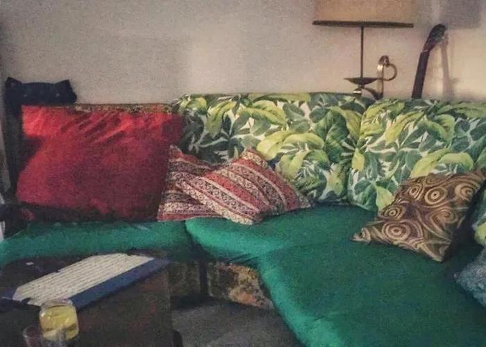 Shared With Kitten דירה